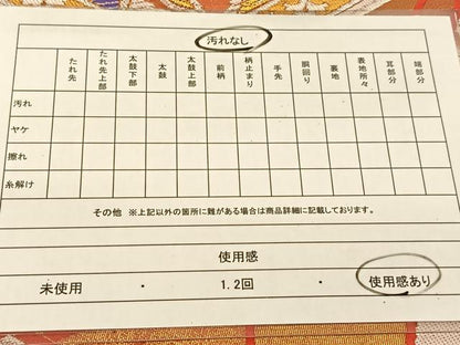 平和屋着物◎両面　全通柄袋帯　唐織　花喰い鳳凰文　金銀糸　正絹　逸品　BAAU2330yc