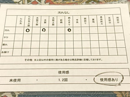 平和屋着物◎六通柄袋帯　壁画文様　金糸　正絹　逸品　BAAU2425yc