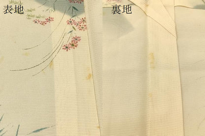平和屋着物＊夏物 小紋 絽 手描き 秋草文 正絹 逸品 未使用 BAAU3462hj