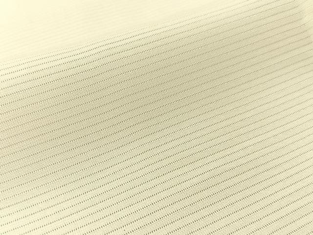 平和屋着物＊夏物 長襦袢 絽 生成り色 正絹 逸品 BAAU3477hj