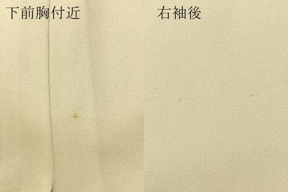 平和屋着物▽訪問着 単衣 箔散らし草花文 金銀彩 正絹 逸品 BAAU3495hj