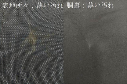 平和屋着物■男性　本場大島紬　総詰め　80亀甲　正絹　逸品　BAAU4289mz