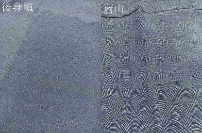 平和屋着物●江戸小紋 極小鮫小紋柄 正絹 逸品 BAAU4638gt