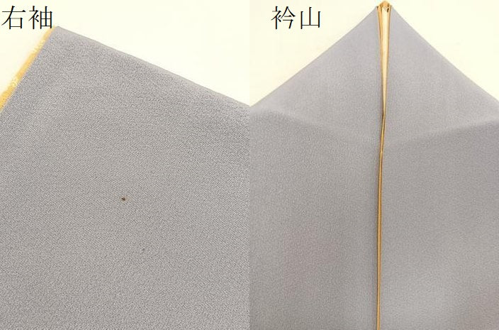 平和屋着物●加賀友禅の巨匠　初代　由水十久監修　色無地　霞色　正絹　逸品　BAAU4743gt