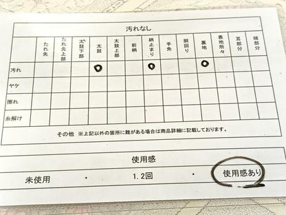平和屋着物◎六通柄袋帯　唐織　菱天井花文　銀糸　正絹　逸品　BAAU6191yc
