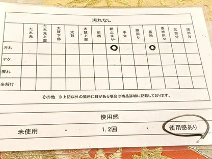 平和屋着物◎六通柄袋帯　唐織　駒刺繍　扇面草花文　金銀糸　正絹　逸品　BAAU6319yc