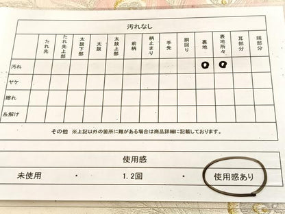 平和屋着物◎六通柄袋帯　唐織　孔雀羽文　金銀糸　正絹　逸品　BAAU6452yc