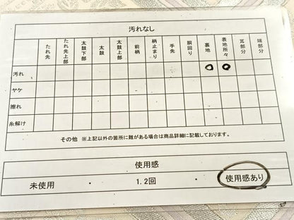 平和屋着物◎六通柄袋帯　唐織　檜垣花唐草文　銀糸　正絹　逸品　BAAU6600yc