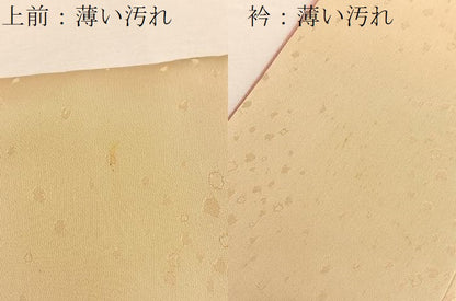 平和屋着物■豪華色留袖　花丸文　金彩　正絹　逸品　BAAU7022gt