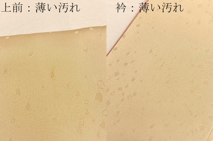 平和屋着物■豪華色留袖　花丸文　金彩　正絹　逸品　BAAU7022gt