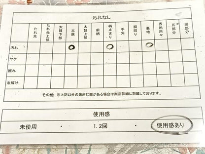 平和屋着物◎六通柄袋帯　唐織　光悦寺　金銀糸　正絹　逸品　BAAU8899yc