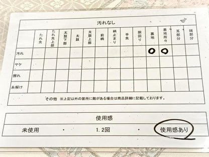 平和屋着物◎六通柄袋帯　唐織　地紙格子花文　銀糸　正絹　逸品　BAAU9086yc