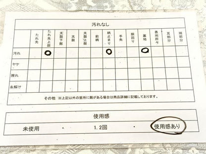 平和屋着物◎六通柄袋帯　唐織　菱天井花文　銀糸　正絹　逸品　BAAU9235yc
