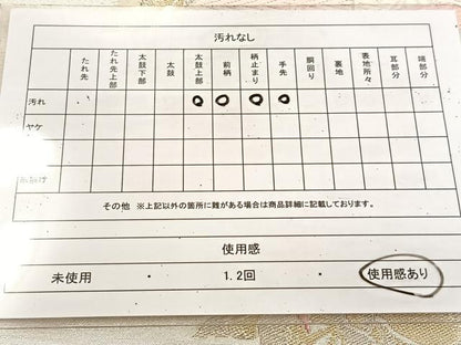 平和屋着物◎六通柄袋帯 唐織 カトレア 金銀糸 正絹 逸品 BAAU9283yc