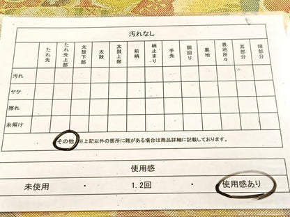 平和屋着物◎七彩佐賀錦　六通柄袋帯　花青海波　金銀糸　正絹　逸品　BAAU9570yc