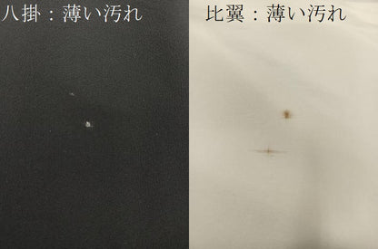 平和屋着物■豪華黒留袖　風景文　暈し染め　金彩　正絹　逸品　BAAV0002mz