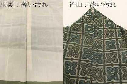 平和屋着物■上質な紬　草花文　正絹　逸品　BAAV1398mz