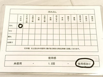 平和屋着物◎六通柄袋帯　唐織　亀甲花文　銀糸　正絹　逸品　BAAV1715hv