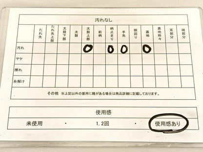 平和屋着物◎西陣 六通柄袋帯 京名所 桂璃宮 金糸 正絹 逸品 BAAV1817hv