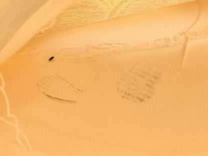 平和屋着物◎西陣 六通柄袋帯 葡萄蔦の葉文 金銀糸 正絹 逸品 BAAV1991hv