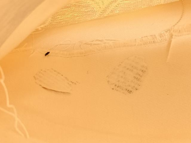 平和屋着物◎西陣 六通柄袋帯 葡萄蔦の葉文 金銀糸 正絹 逸品 BAAV1991hv