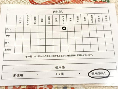 平和屋着物◎六通柄袋帯 唐織 鳳凰花丸文 金銀糸 正絹 逸品 BAAV4445yc