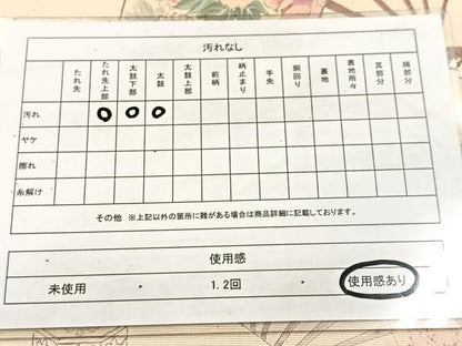 平和屋着物◎太鼓柄袋帯 手描き 螺鈿箔 扇面御所車花文 金銀糸 引箔 正絹 逸品 BAAV4621yc