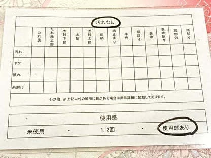 平和屋着物◎六通柄袋帯 唐織 雲取り孔雀羽花文 金銀糸 正絹 逸品 BAAV4658yc
