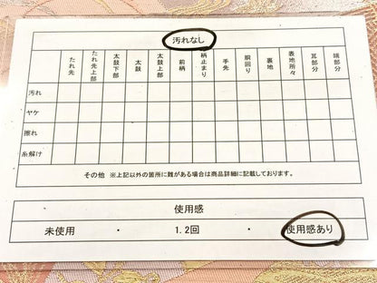 平和屋着物◎六通柄袋帯　唐織　切嵌草花文　金銀糸　正絹　逸品　BAAV4770yc