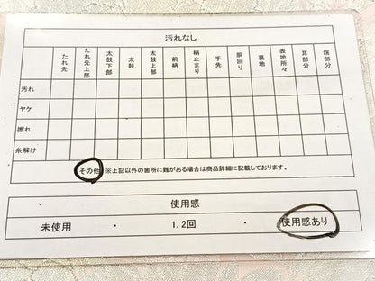 平和屋着物◎六通柄袋帯　唐織　草花文　銀糸　正絹　逸品　BAAV4789yc