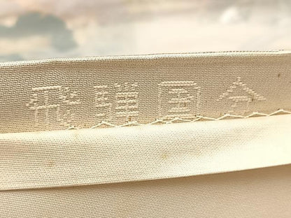 平和屋着物◎六通柄袋帯 飛騨国分 金銀糸 正絹 逸品 BAAV4997yc