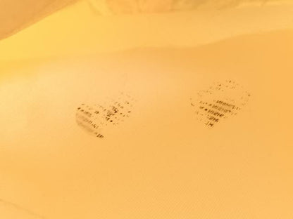 平和屋着物◎西陣　六通柄袋帯　唐織　鳳凰　銀糸　正絹　逸品　BAAV5966hv