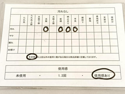 平和屋着物◎六通柄袋帯 唐織 宝彩錦 両面総地紋織 景勝橋立文様 金糸 正絹 逸品 BAAV5997hv