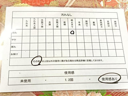 平和屋着物◎六通柄袋帯　唐織　錦繍慶長文　金銀糸　正絹　逸品　BAAV6595yc
