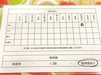 平和屋着物◎六通柄袋帯　唐織　正倉院花唐草文　金銀糸　正絹　逸品　BAAV6835yc