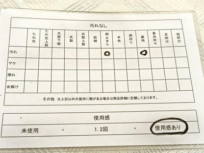 平和屋着物◎六通柄袋帯　唐織　菱天井花文　銀糸　正絹　逸品　BAAV7433yc