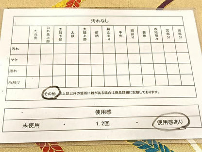 平和屋着物◎六通柄袋帯　唐織　紐文　金糸　正絹　逸品　BAAV7466yc
