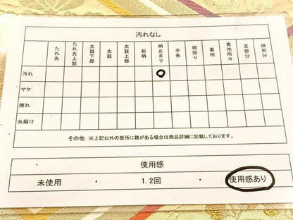 平和屋着物◎六通柄袋帯　唐織　菱天井花文　金糸　正絹　逸品　BAAV7789yc