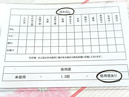 平和屋着物◎六通柄袋帯　唐織　草花文　銀糸　正絹　逸品　BAAV7806yc