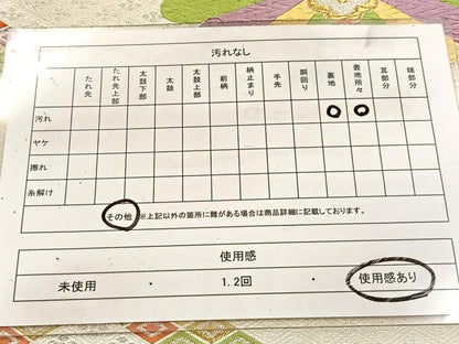 平和屋着物◎六通柄袋帯　唐織　菱天井花文　金銀糸　正絹　逸品　BAAV7829yc
