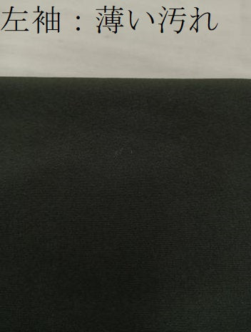 平和屋着物■豪華黒留袖 風景花文 金彩 正絹 逸品 BAAV8327mz