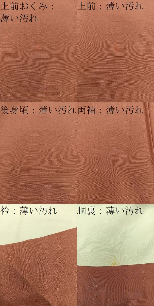 平和屋着物■上質な紬　曙色　正絹　逸品　BAAV9049mz