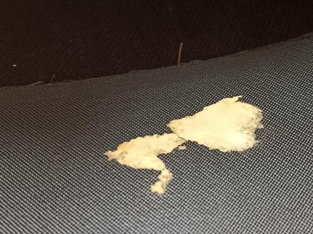 平和屋着物◎六通柄袋帯 鳳凰文華 金銀糸 正絹 逸品 BAAV9737hv