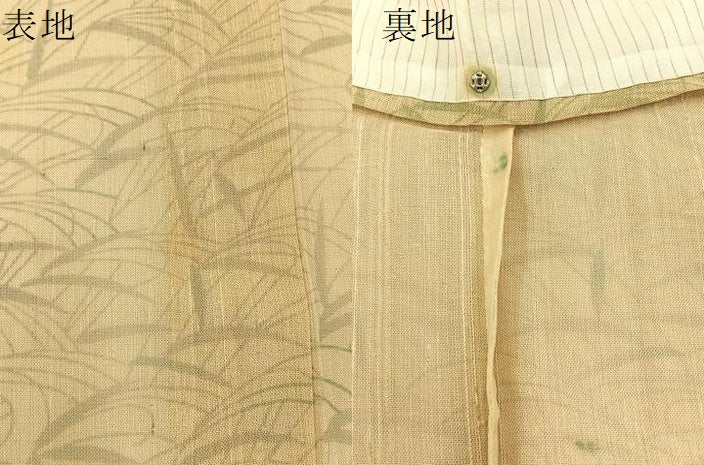平和屋着物＊夏物 紗紬 草葉文 正絹 逸品 BAAW0955hj
