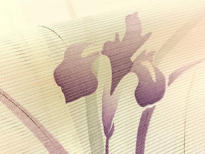 平和屋着物＊夏物 小紋 絽 杜若 正絹 逸品 BAAW0956hj