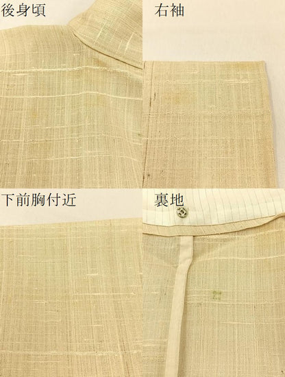 平和屋着物＊夏物 訪問着 生紬 手描き 稲穂 正絹 逸品 BAAW0957hj
