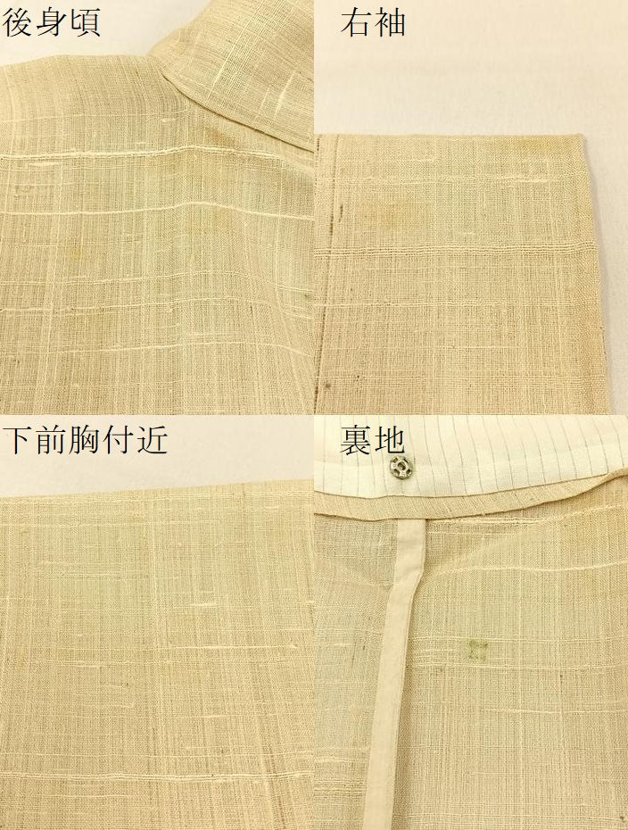 平和屋着物＊夏物 訪問着 生紬 手描き 稲穂 正絹 逸品 BAAW0957hj