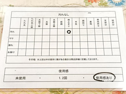 平和屋着物◎六通柄袋帯　唐織　亀甲花蝶文　金銀糸　引箔　正絹　逸品　BAAW2038yc