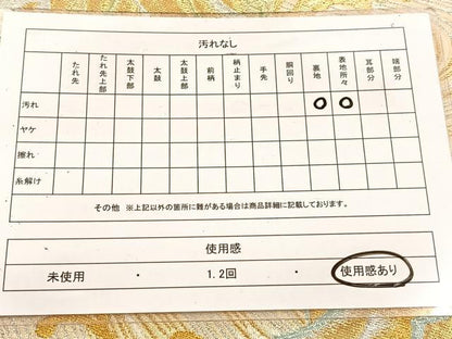 平和屋着物◎六通柄袋帯　唐織　立波風景文　金銀糸　正絹　逸品　BAAW2072yc