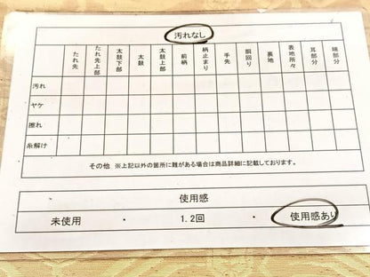 平和屋着物◎六通柄袋帯　さらさ　壁画文様　金糸　正絹　逸品　BAAW2081yc